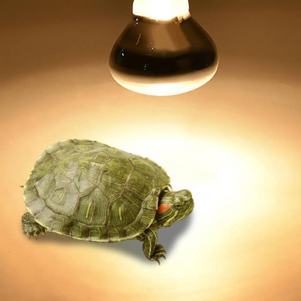 Basking Bulb Halogen - หลอดไฟฮีตเตอร์สำหรับสัตว์เลื้อยคลาน แสง UVA หลอดฮาโลเจนสำหรับให้ความร้อน
