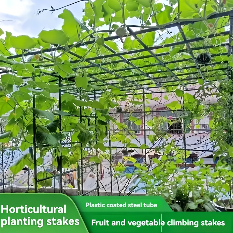 Vine Climbing Plastic - ชุดโครงปีนป่ายสำหรับพืชผักกันสนิม Pop สำหรับรองรับการเจริญเติบโตของแตงกวา มะเขือเทศ เถาองุ่น XS63