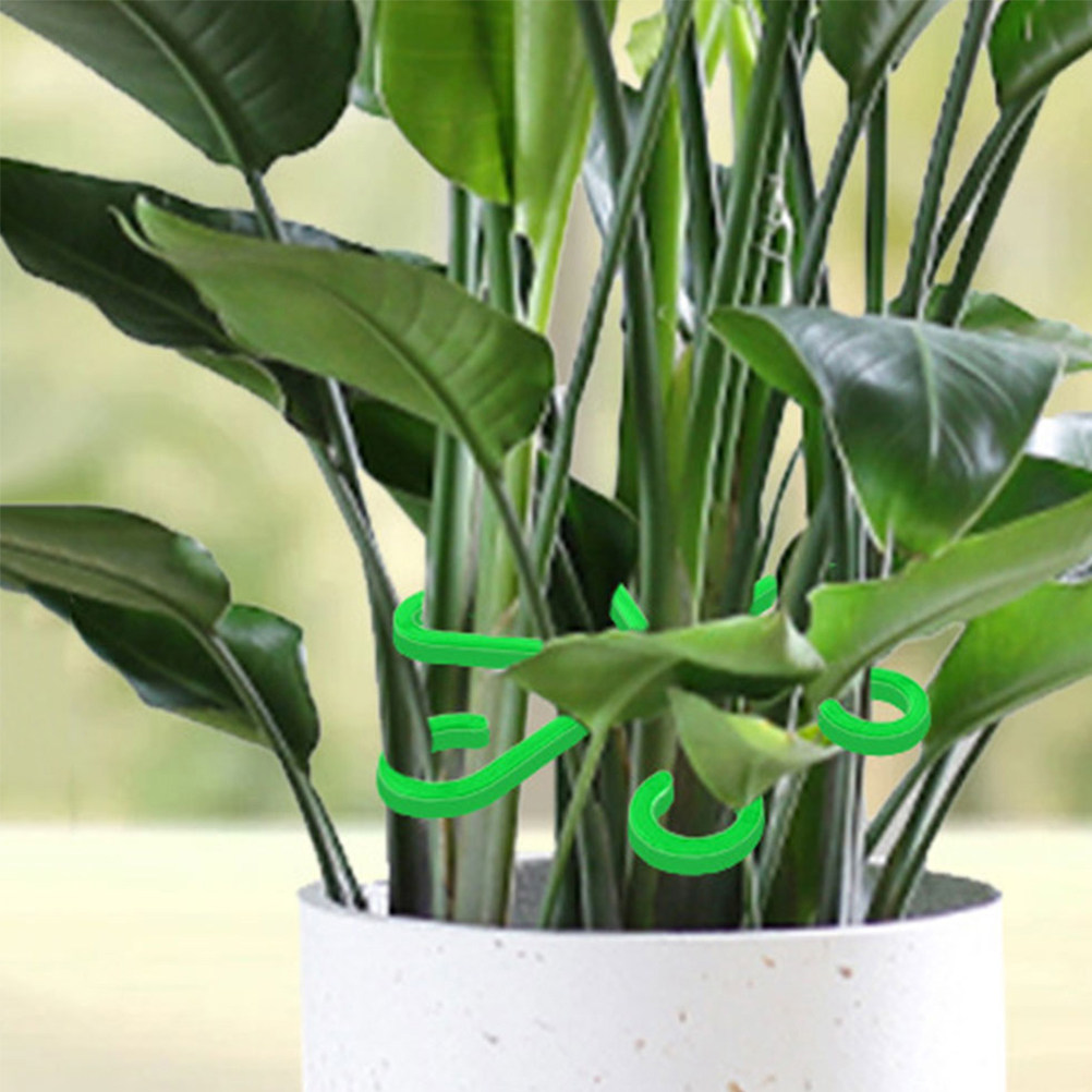 Vine Climbing Plastic - คลิปพลาสติกสำหรับยึดกิ่งพืช 12 ชิ้น สำหรับพืชเลื้อยในสวน คลิปจัดระเบียบกิ่งบอนไซกลางแจ้ง