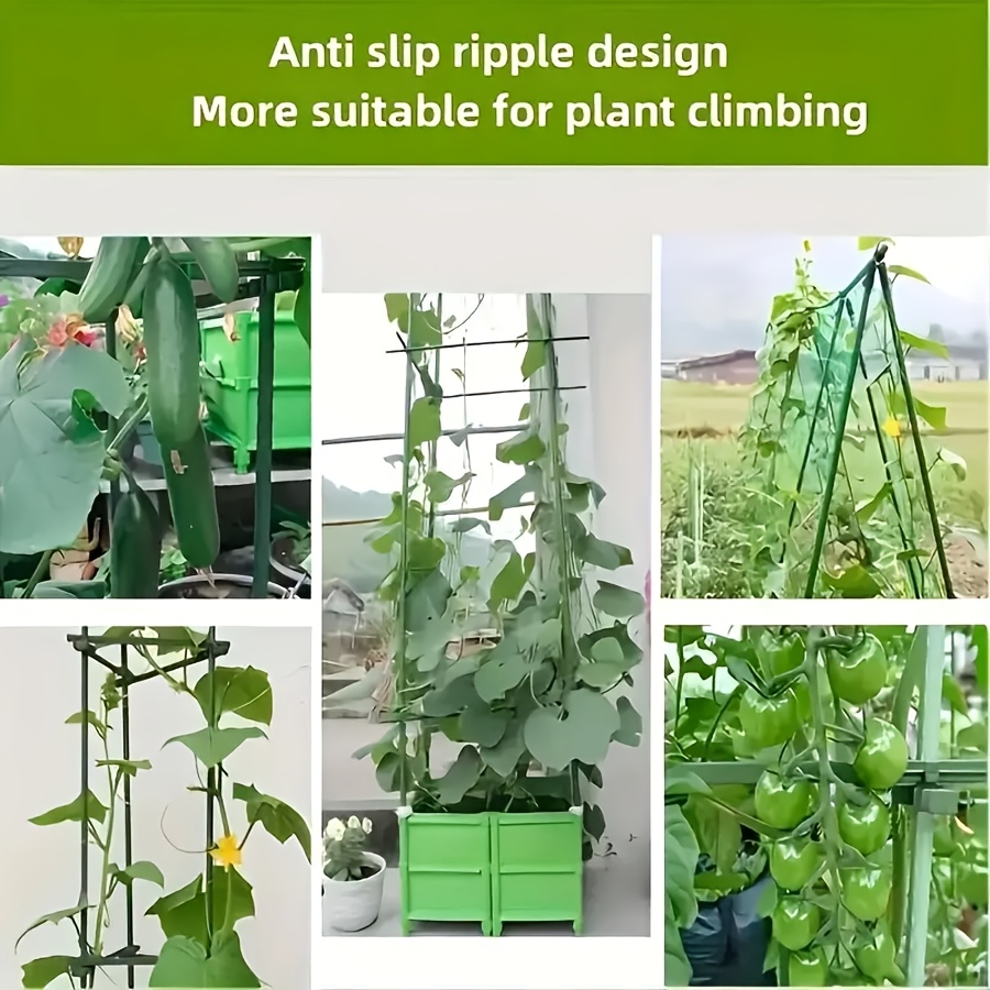 ชุดโครงปีนป่ายสำหรับพืชผักกันส - Vine Climbing Plastic บทวิจารณ์และราคา