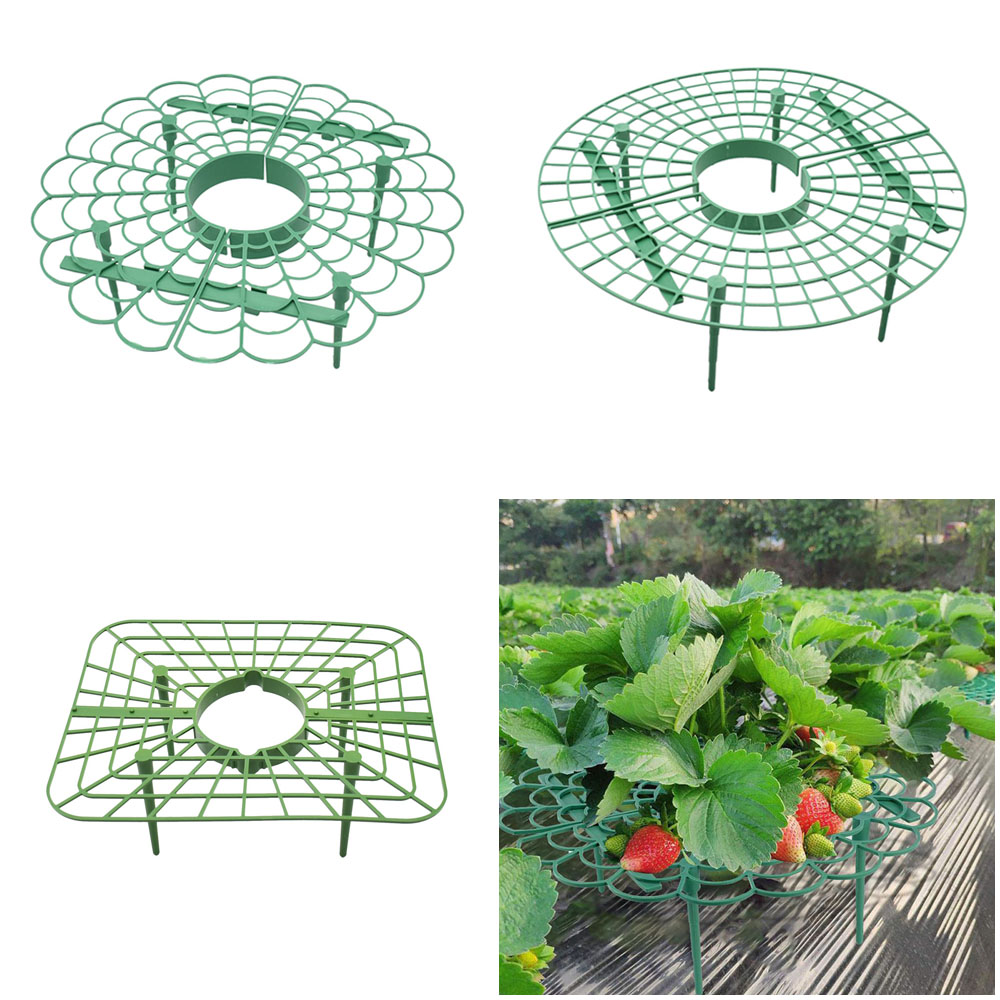 สตรอเบอร์รี่ขาตั้งกรอบระเบียงป - Vine Climbing Plastic บทวิจารณ์และราคา