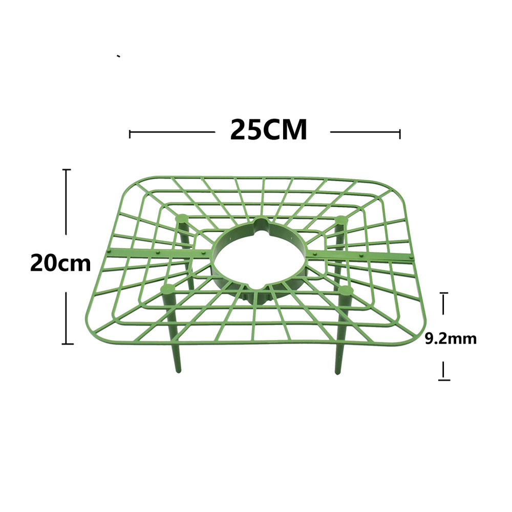สตรอเบอร์รี่ขาตั้งกรอบระเบียงป - Vine Climbing Plastic บทวิจารณ์และราคา