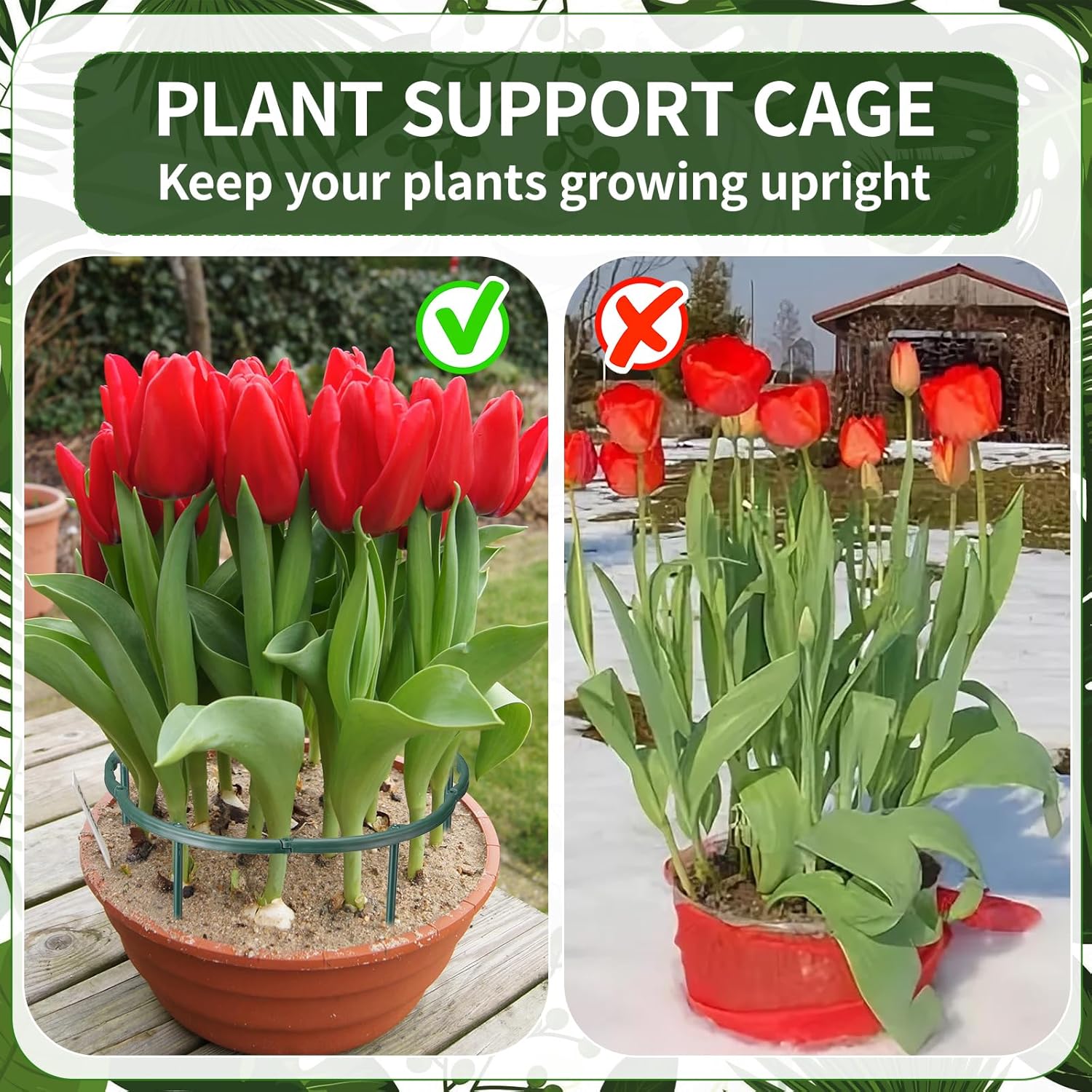 เสาค้ำต้นไม้ 1/16 ชิ้น สำหรับจ - Vine Climbing Plastic บทวิจารณ์และราคา