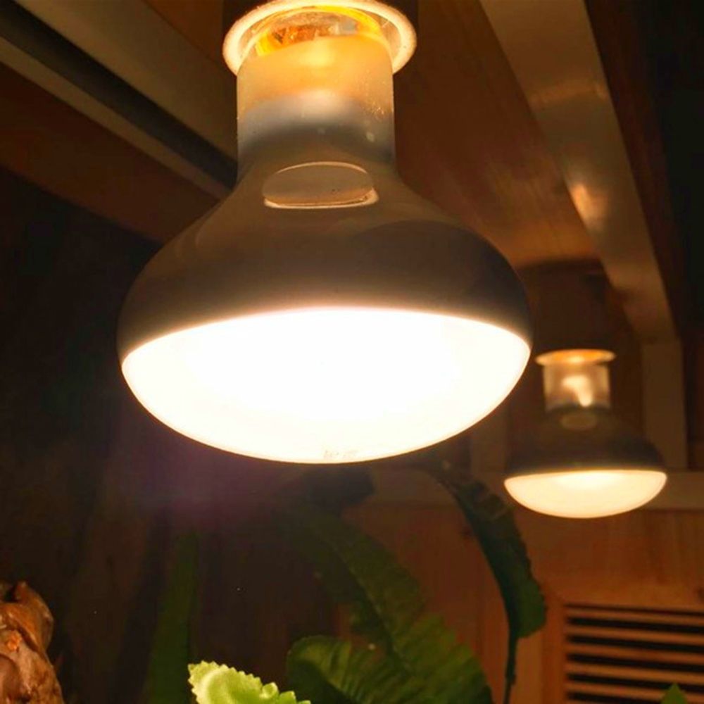 เครื่องควบคุมอุณหภูมิสำหรับสัต - Basking Bulb Halogen บทวิจารณ์และราคา