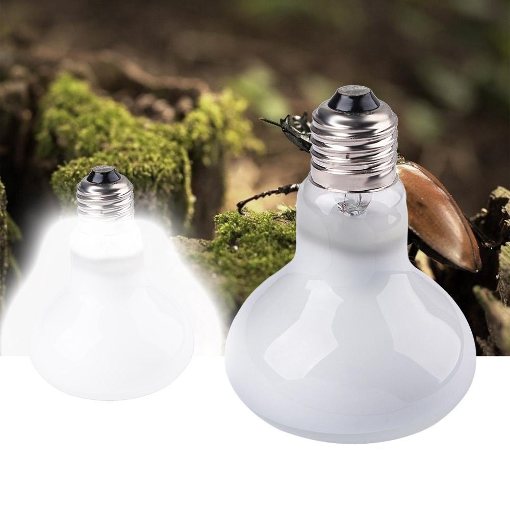 หลอดฮาโลเจนสำหรับสัตว์ครึ่งบกค - Basking Bulb Halogen บทวิจารณ์และราคา