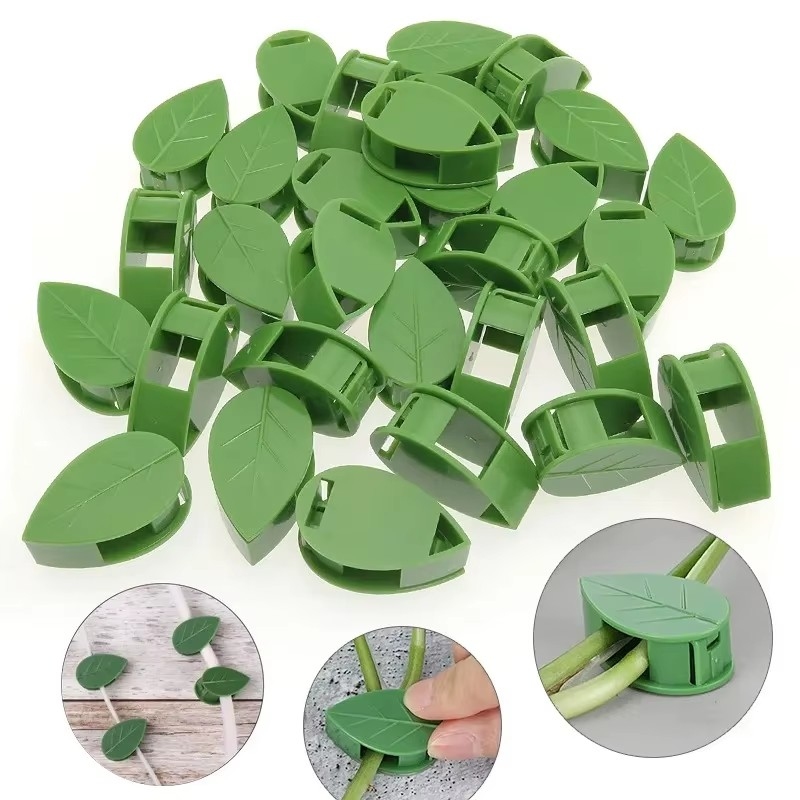 คลิปหนีบต้นไม้แบบติดเอง 10-90  - Vine Climbing Plastic บทวิจารณ์และราคา