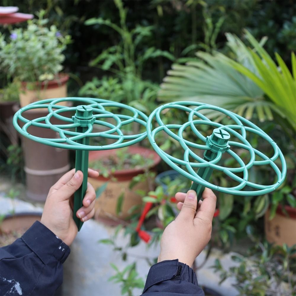 โครงพยุงต้นไม้พลาสติกแบบซ้อนได - Vine Climbing Plastic บทวิจารณ์และราคา