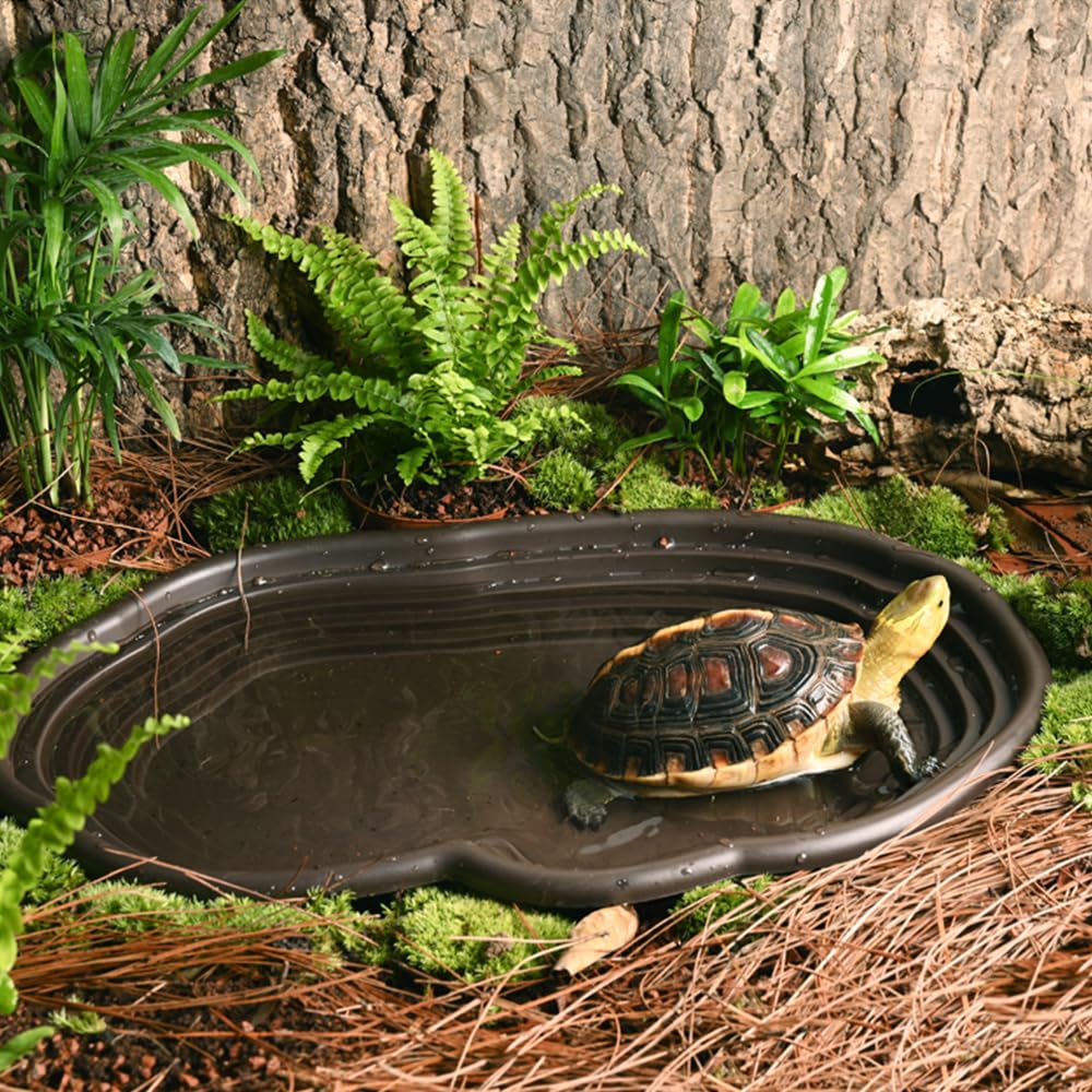 ถาดอาบน้ำสัตว์เลื้อยคลาน ภาชนะ - Water Dish Reptile บทวิจารณ์และราคา