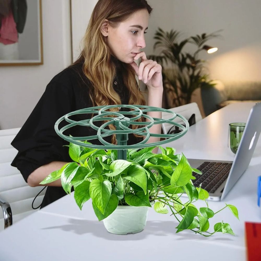 โครงปีนป่ายบอนไซแบบซ้อนได้ ขนา - Vine Climbing Plastic บทวิจารณ์และราคา