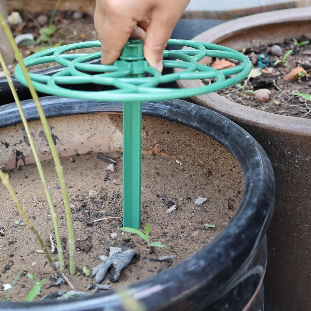 โครงปีนป่ายบอนไซแบบซ้อนได้ ขนา - Vine Climbing Plastic บทวิจารณ์และราคา