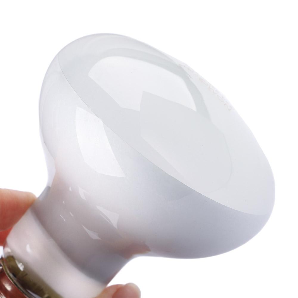 เครื่องควบคุมอุณหภูมิเต่า หลอด - Basking Bulb Halogen บทวิจารณ์และราคา