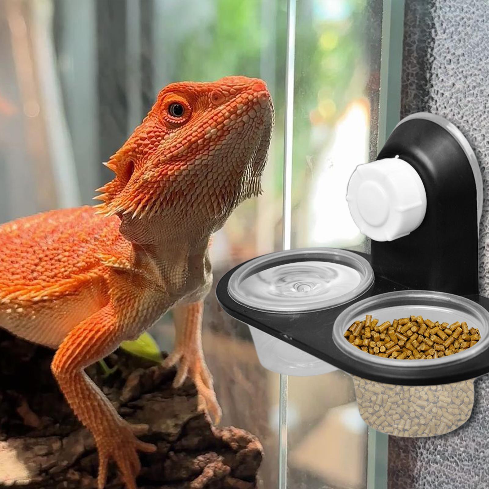 ถาดใส่อาหารและน้ำสำหรับตุ๊กแก  - Water Dish Reptile บทวิจารณ์และราคา
