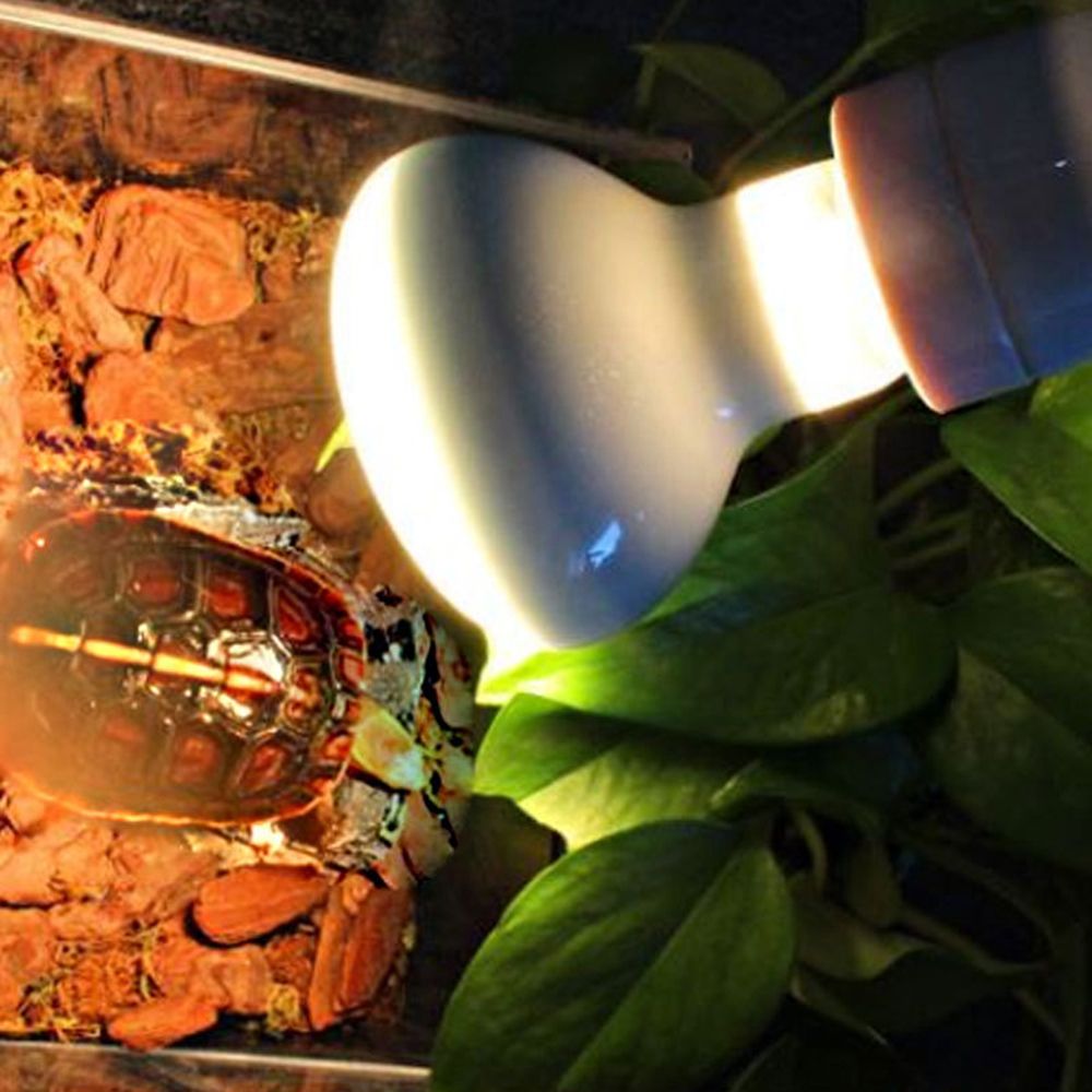 เครื่องควบคุมอุณหภูมิเต่า หลอด - Basking Bulb Halogen บทวิจารณ์และราคา