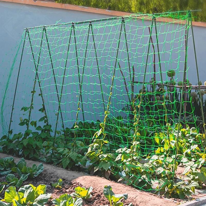 โครงตาข่ายสำหรับปลูกไม้เลื้อย  - Vine Climbing Plastic บทวิจารณ์และราคา