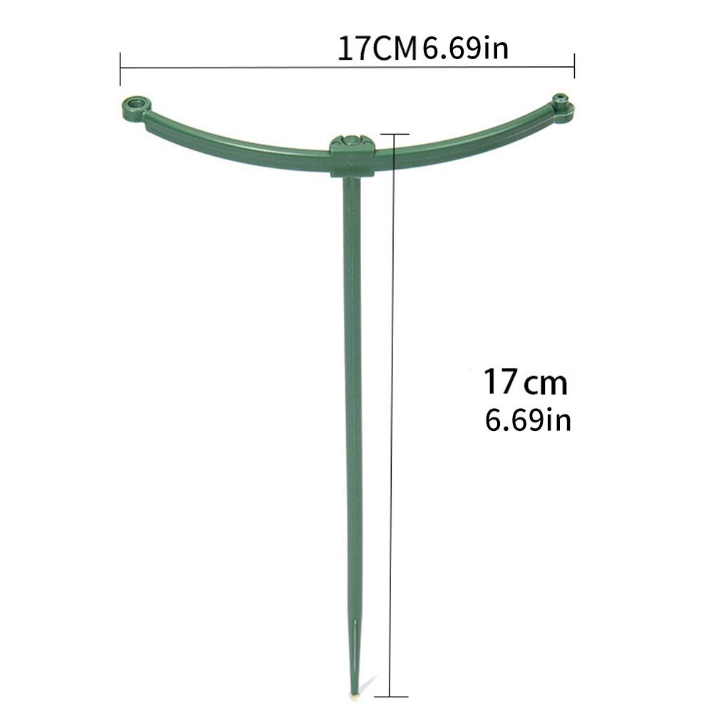 วงแหวนรองรับต้นไม้เลื้อยแบบปรั - Vine Climbing Plastic บทวิจารณ์และราคา