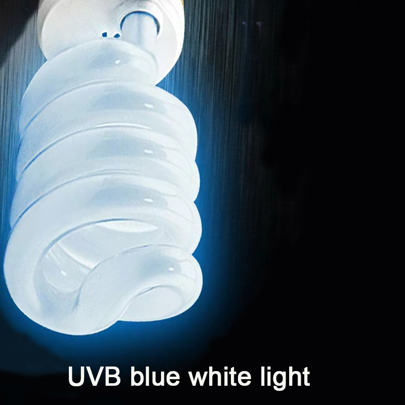 E27 13W/26W สัตว์เลื้อยคลาน Uv - Calcium Powder Reptile บทวิจารณ์และราคา