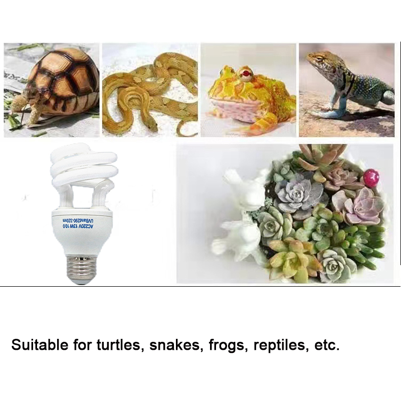 E27 13W/26W สัตว์เลื้อยคลาน Uv - Calcium Powder Reptile บทวิจารณ์และราคา