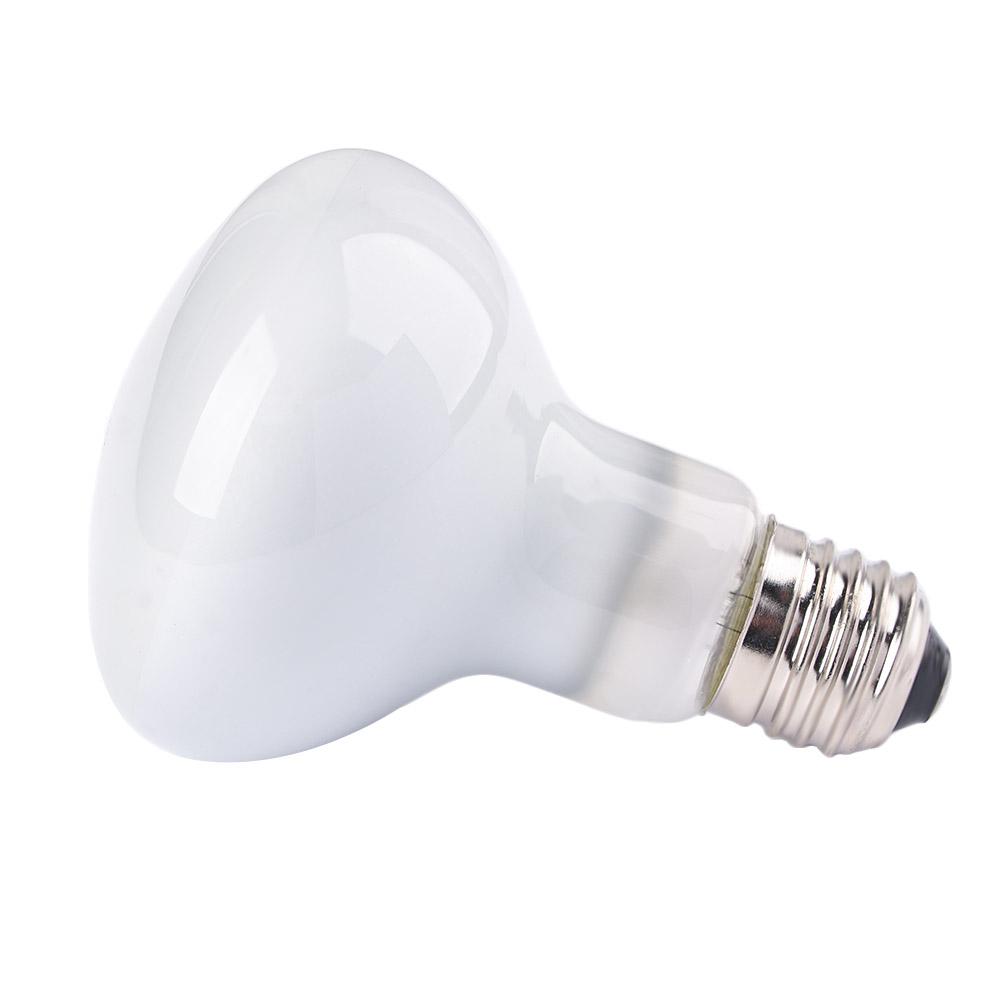 เครื่องควบคุมอุณหภูมิเต่า หลอด - Basking Bulb Halogen บทวิจารณ์และราคา