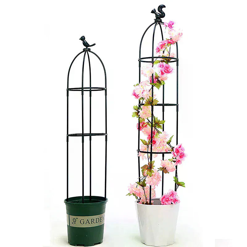 ชุดโครงตาข่ายสำหรับพืชเลื้อย 1 - Vine Climbing Plastic บทวิจารณ์และราคา