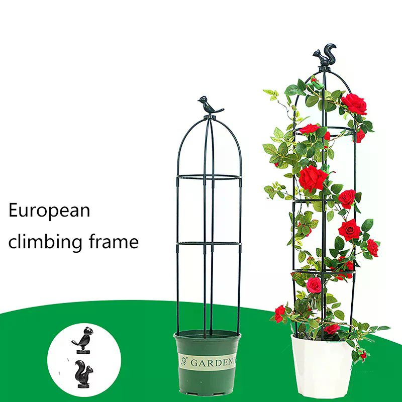 ชุดโครงตาข่ายสำหรับพืชเลื้อย 1 - Vine Climbing Plastic บทวิจารณ์และราคา