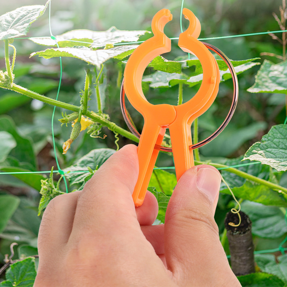 คลิปยึดต้นไม้ 10 ชิ้น ที่หนีบก - Vine Climbing Plastic บทวิจารณ์และราคา
