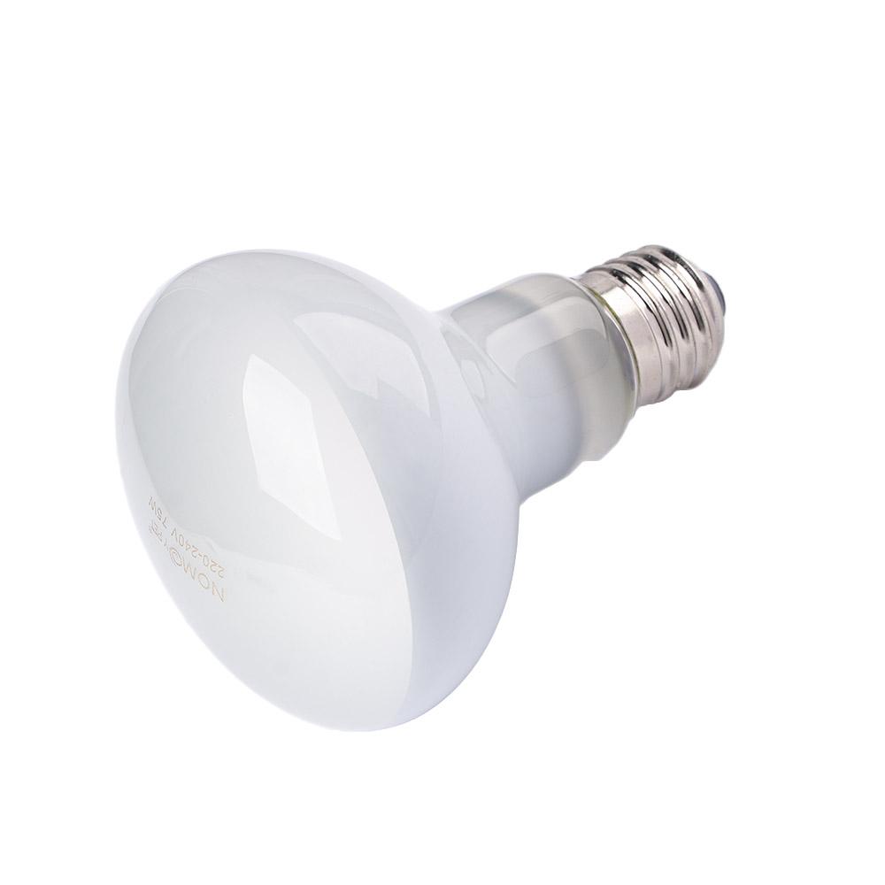 เครื่องควบคุมอุณหภูมิหลอดไฟสำห - Basking Bulb Halogen บทวิจารณ์และราคา